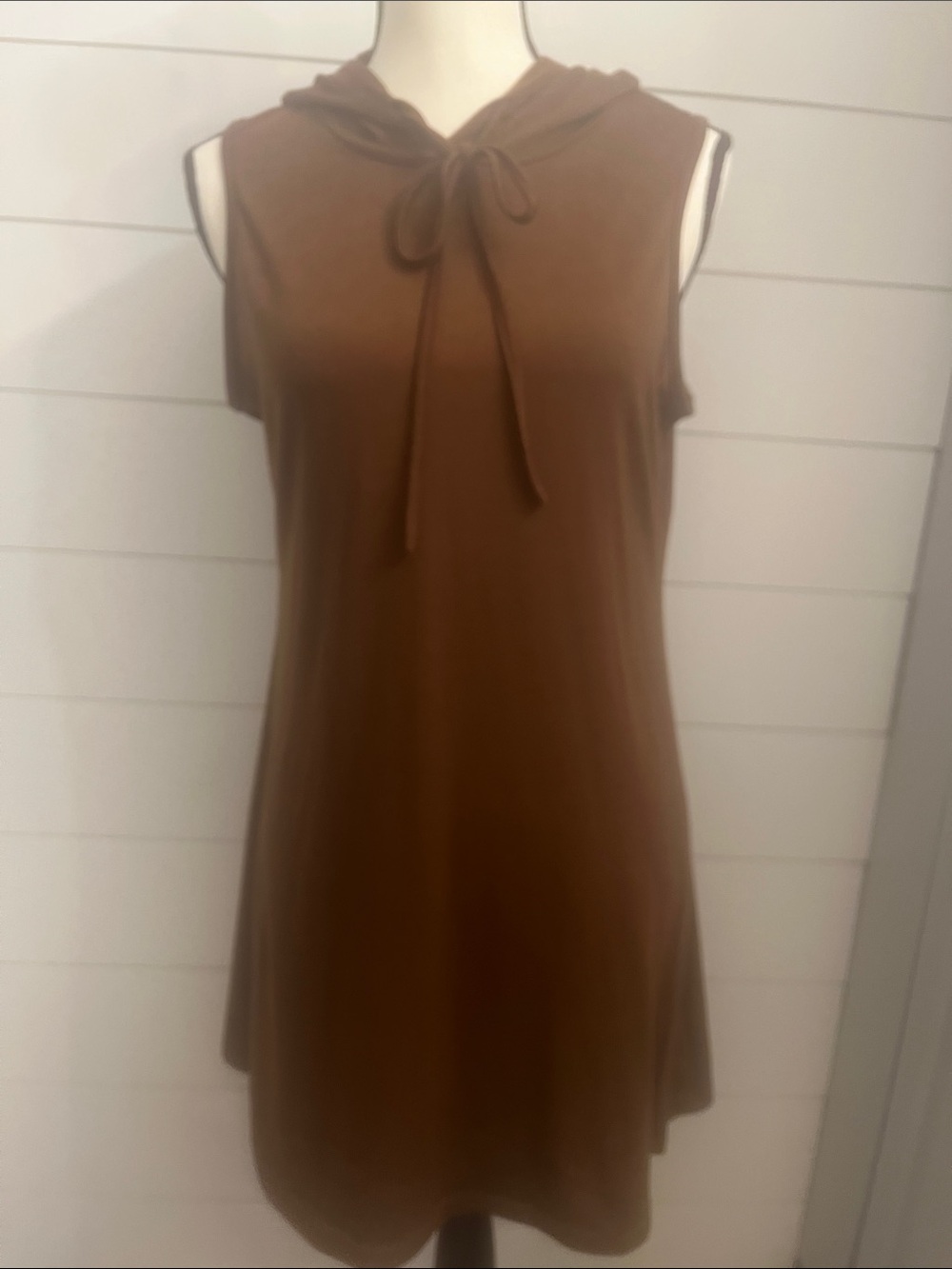 Sleeveless Hooded Tie-Neck Dress in Brown